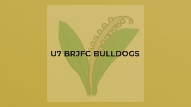 U7 BRJFC Bulldogs