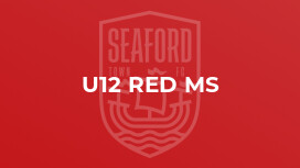 U12 Red MS