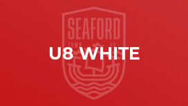 U8 White