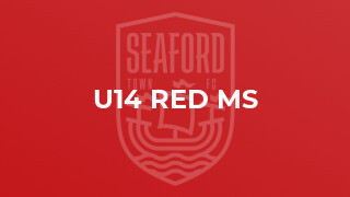 U14 Red MS