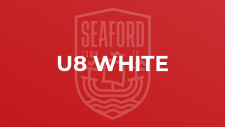 U8 White