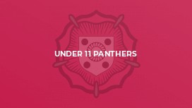 Under 11 Panthers