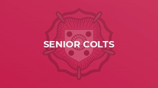 Senior Colts