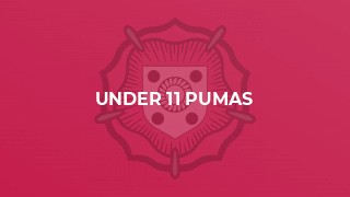 Under 11 Pumas