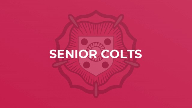 Senior Colts