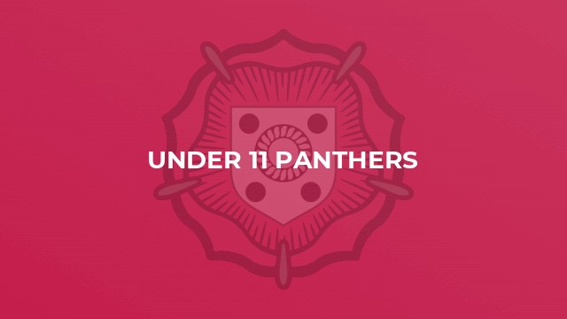 Under 11 Panthers