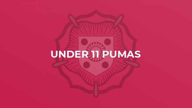 Under 11 Pumas