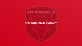 AFC Winkfield Sunday