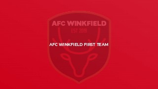 AFC Winkfield First Team