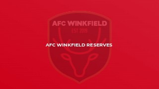 AFC Winkfield Reserves