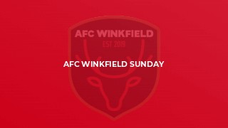 AFC Winkfield Sunday