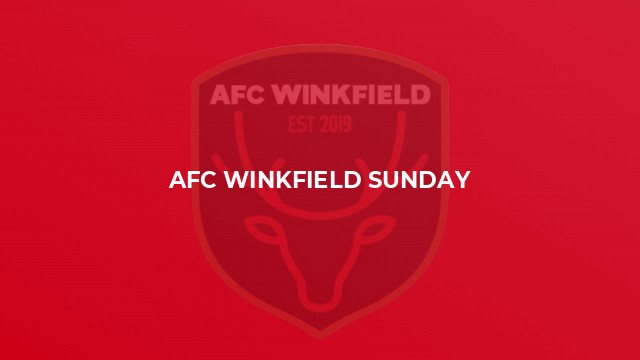 AFC Winkfield Sunday