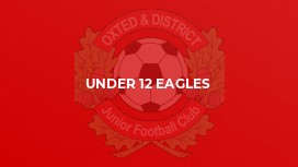 Under 12 Eagles