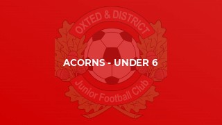 Acorns - Under 6