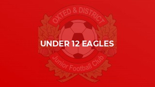 Under 12 Eagles