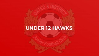 Under 12 Hawks