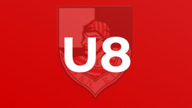 U8