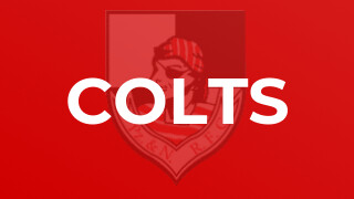 Colts