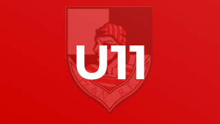 U11