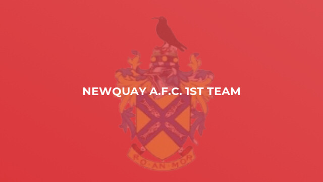Newquay A.F.C. 1st Team