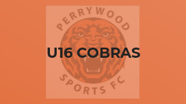 U16 Cobras