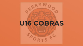 U16 Cobras