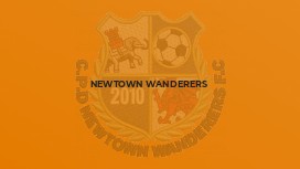 Newtown Wanderers