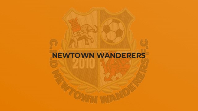 Newtown Wanderers