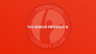 T20 Senior Friendly B