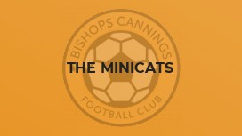 The MiniCats