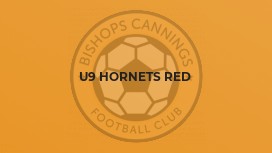 U9 Hornets Red
