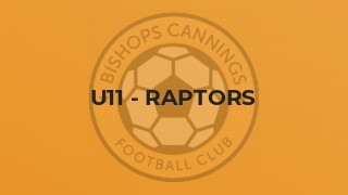 U11 - Raptors