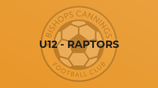 U12 - Raptors