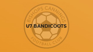 U7 Bandicoots
