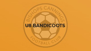 U8 Bandicoots