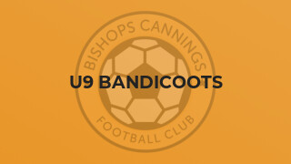 U9 Bandicoots