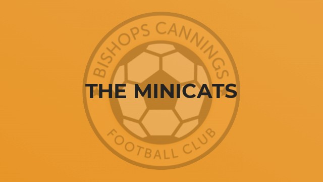 The MiniCats