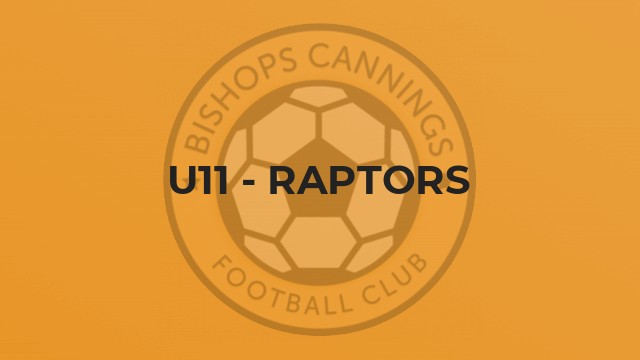 U11 - Raptors