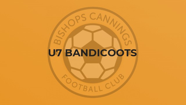 U7 Bandicoots