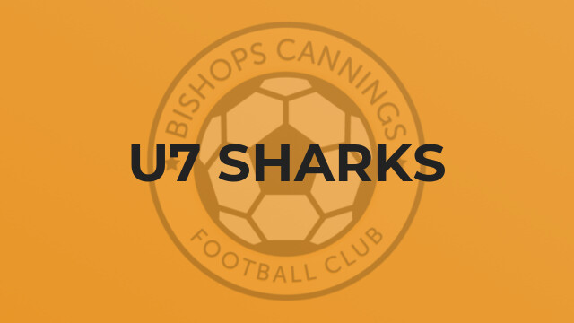 U7 Sharks