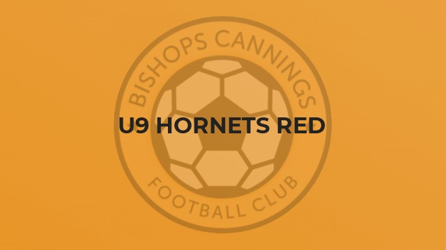 U9 Hornets Red