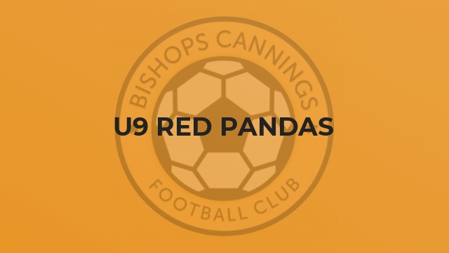 U9 Red Pandas