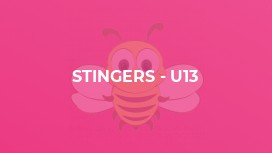Stingers - U13