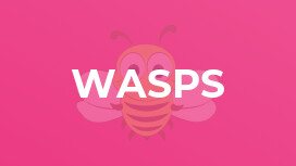 Wasps