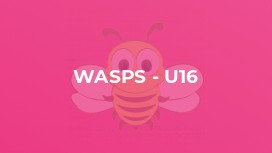 Wasps - U16