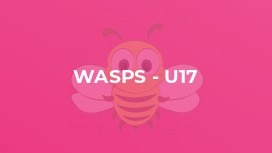 Wasps - U17