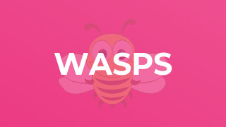 Wasps