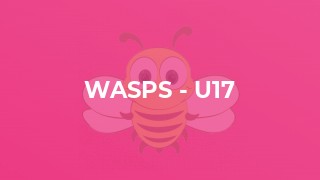 Wasps - U17