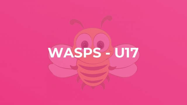 Wasps - U17