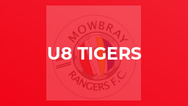U8 Tigers